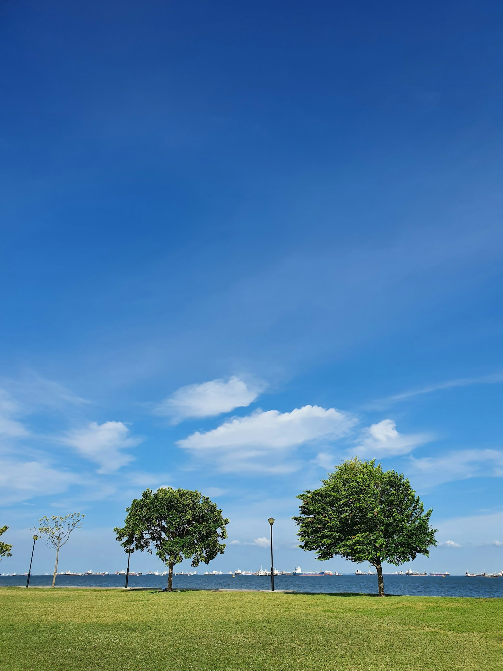 East Coast Park — green, breezy and a few minutes from Katong, with the ships drifting past on the horizon.